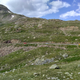 Illustration for article titled Europpomeet Alps edition